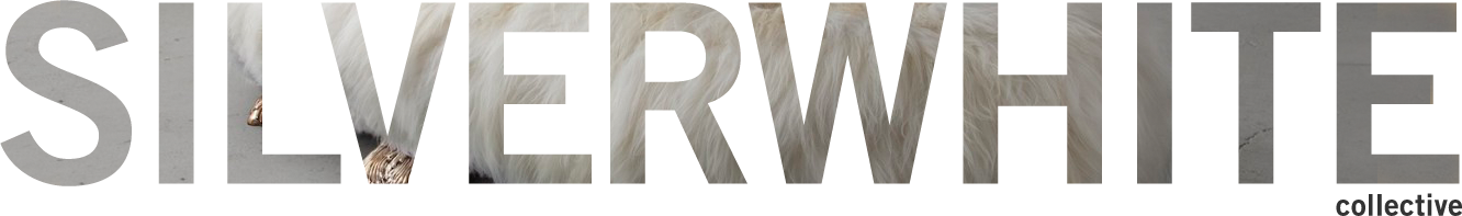 SilverWhite Collective